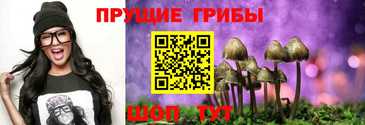 Галлюциногенные грибы Cubensis Саяногорск